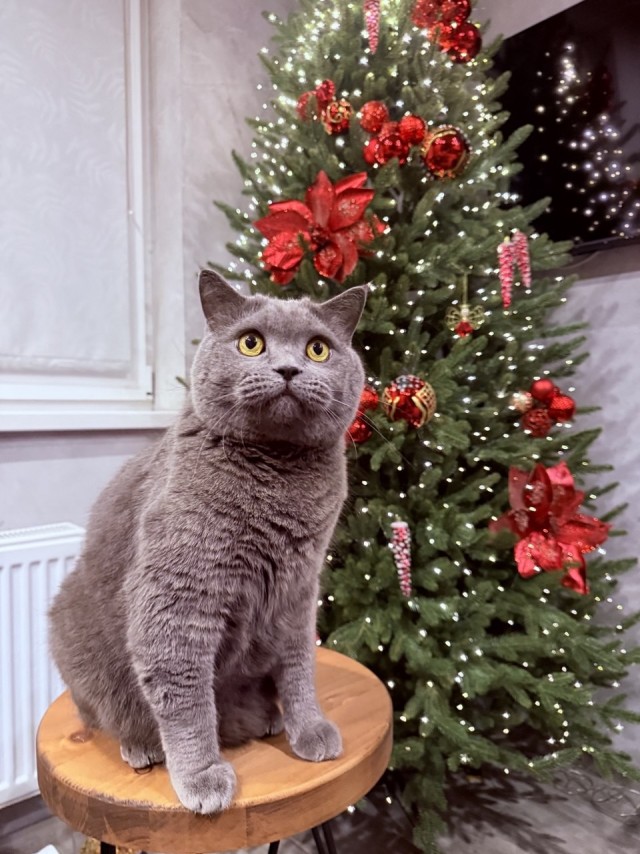 Время пришло