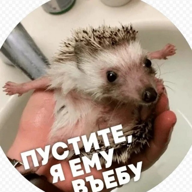 Чё с вами, чё не поделили