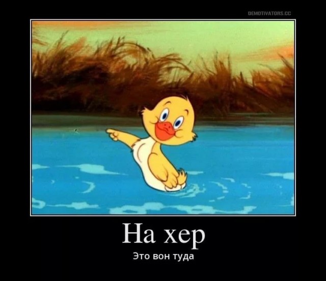 Орешкин: к концу XXI века половина городов Китая будет не нужна