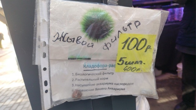Понедельника картинки