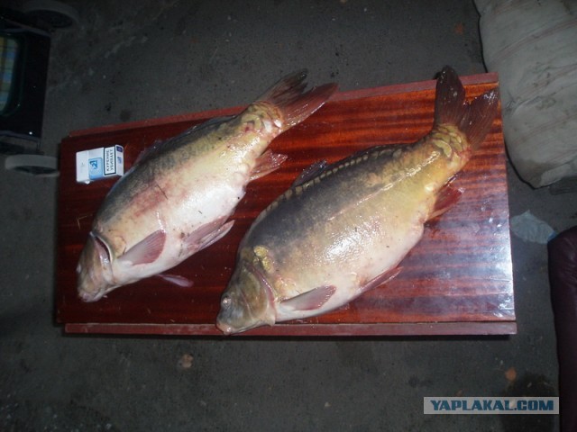 Одна поездка на озеро