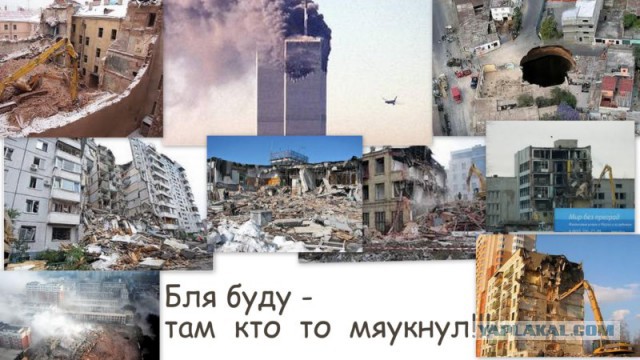 Любопытство до добра не доведет