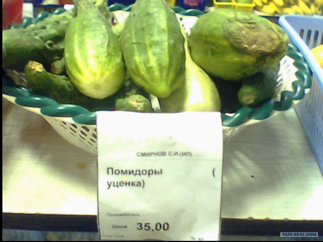 Что мы видим вокруг себя