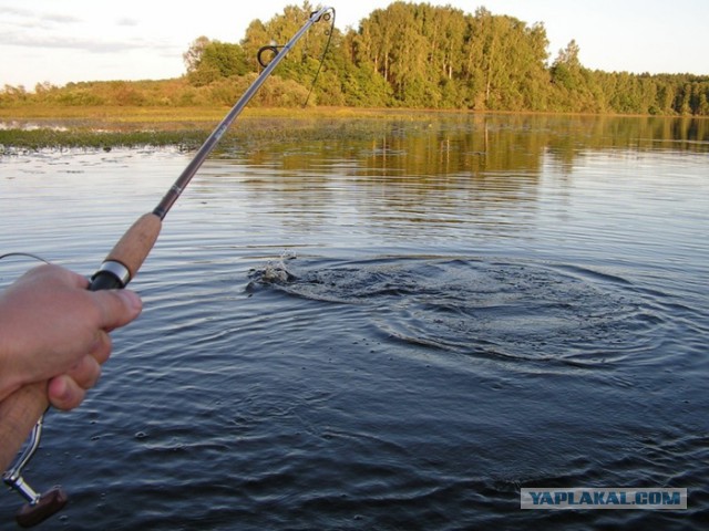 Небольшое увлечение