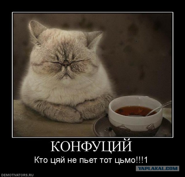 Конфуций говорит