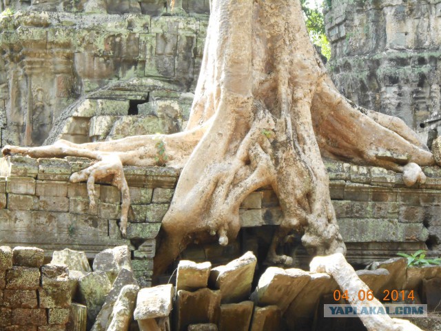 This is Cambodia – no problem
