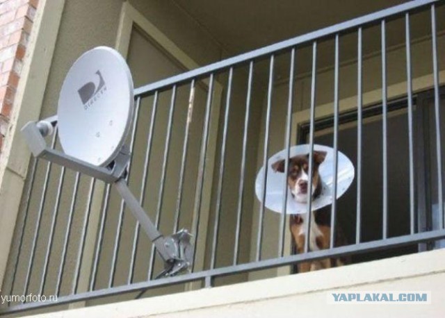 Спутниковая связь