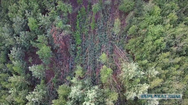 Неведомую хрень нашли под Челябинском