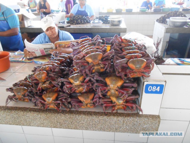 Рыбный рынок в Эквадоре
