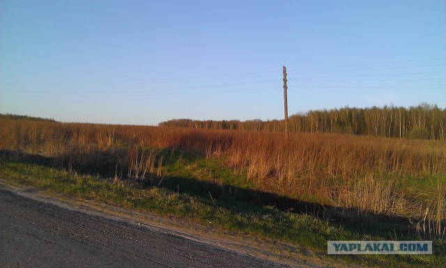 Я узнал, что у меня есть огромная семья