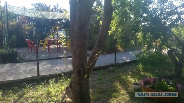 Отдых и лечение на Азовском море в г. Таганрог