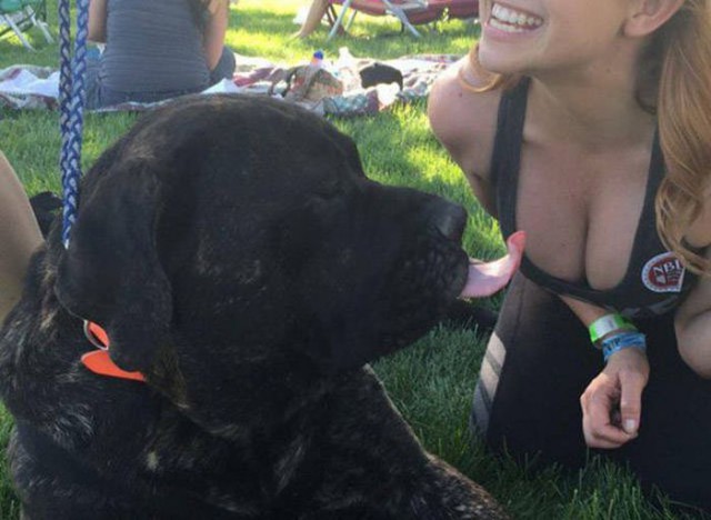 Картинки разные из сети