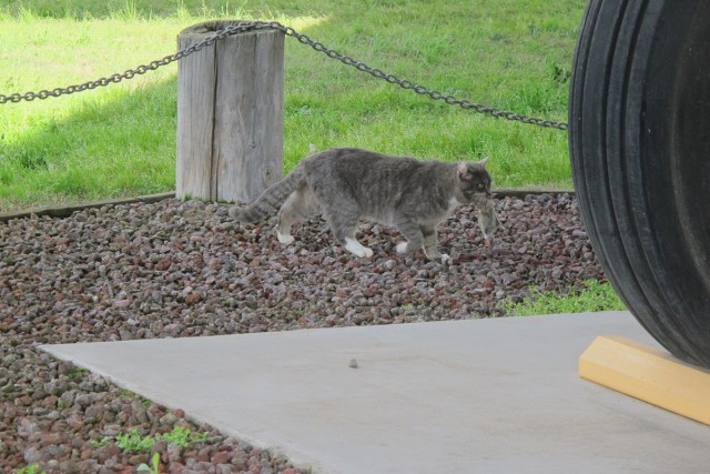 Военной авиации псто. Часть 2