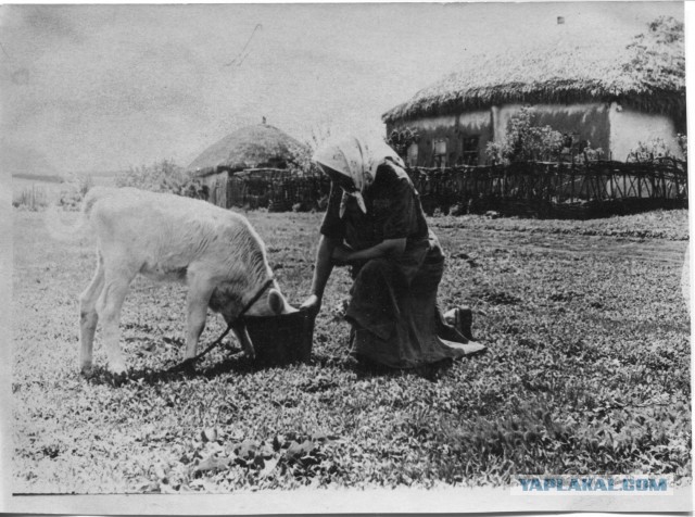 Новая серия фотографий "Москва глазами американского шпиёна"