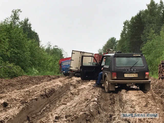 Эх, дороги... Пыль да туман