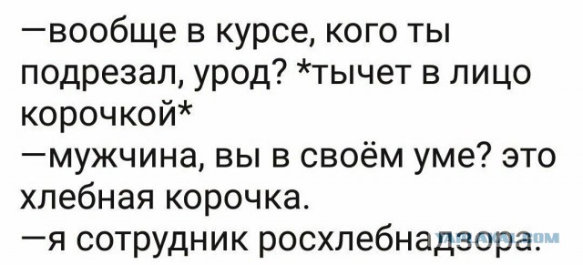 Забавные комментарии, шутки и фразы из этих ваших интернетов