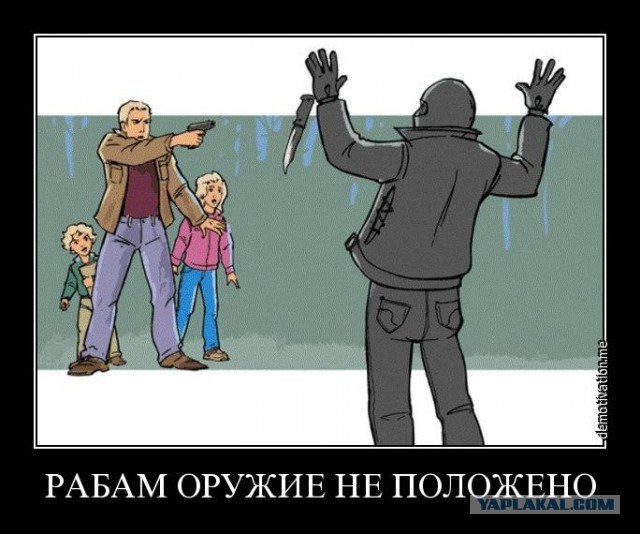 «Нам можно дробовик, с которым хоть Кремль штурмуй, но нельзя короткоствол для самозащиты»
