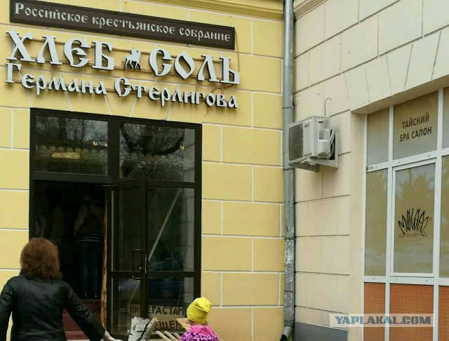 Полиция Перми сочла допустимой гомофобную рекламу в магазине Стерлигова