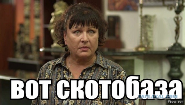 Позорно из соцсетей 2