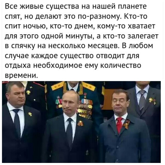 Бросай работать, пошли деградировать!