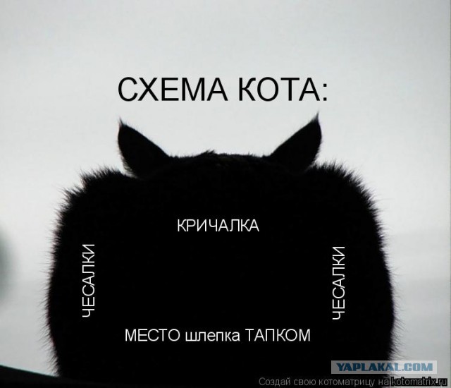 Эпитафия по Плаза