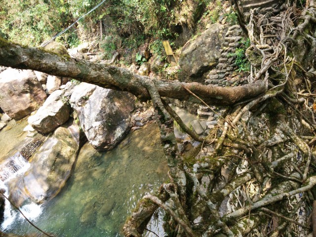 К живым мостам и обратно. Заметки из Индии