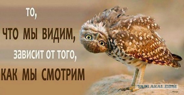 Только после свадьбы я понял,что такое настоящее счастье