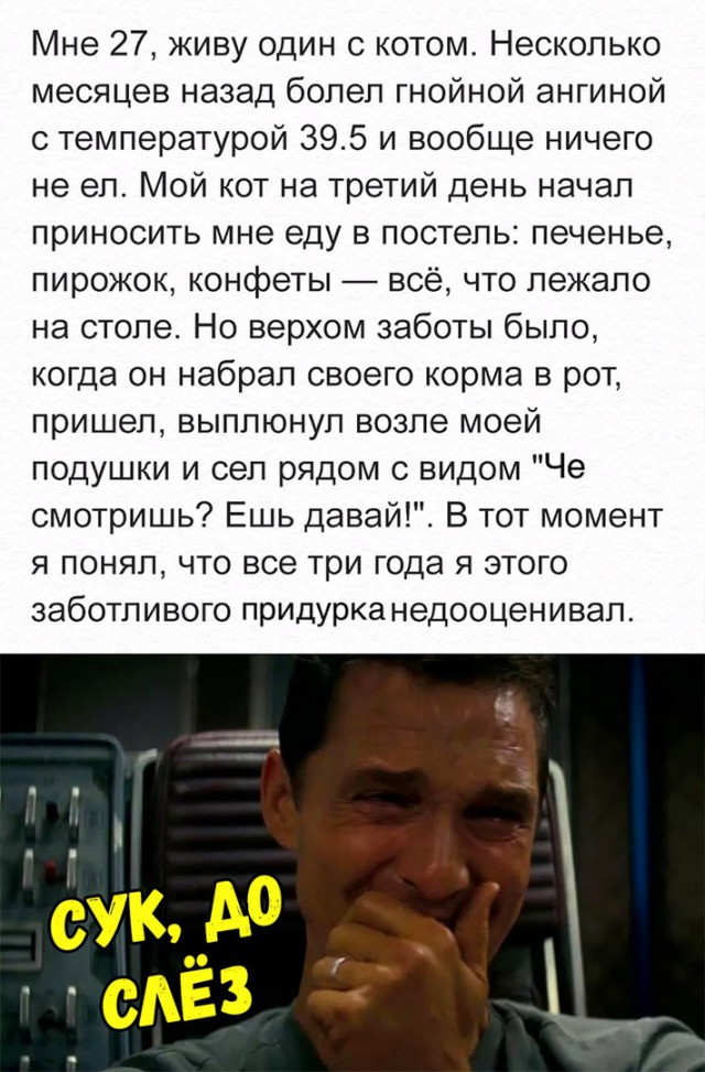 Разные картинки из интернета