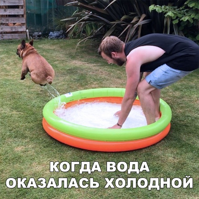 Прикольные картинки абавсём