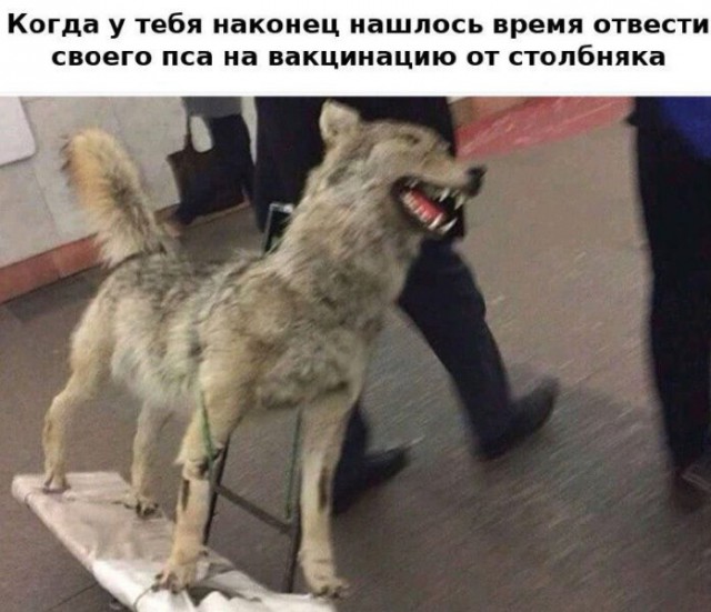 Сто и одна картинка в этот четверг