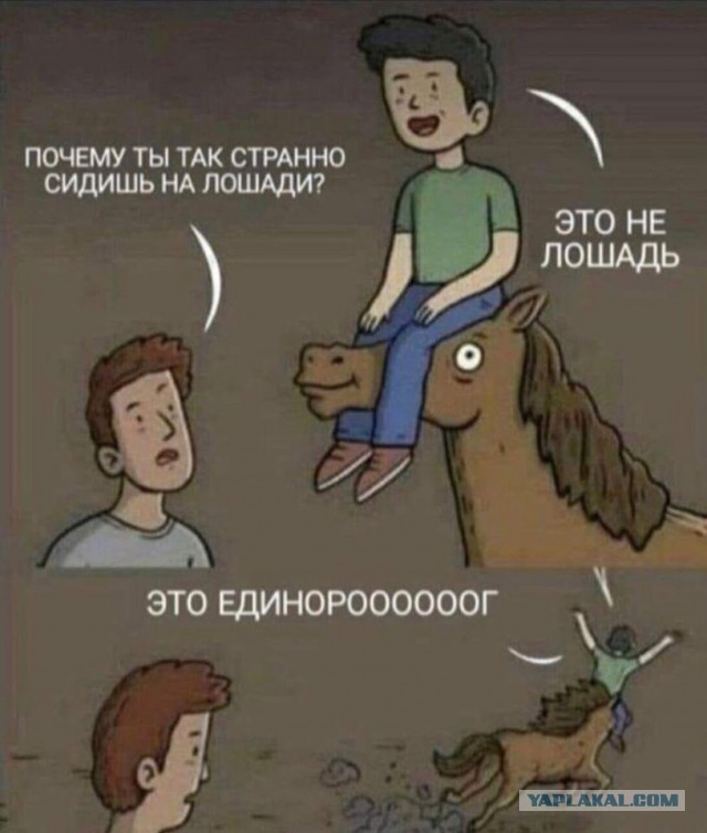 Чуток картинок 20.06.19