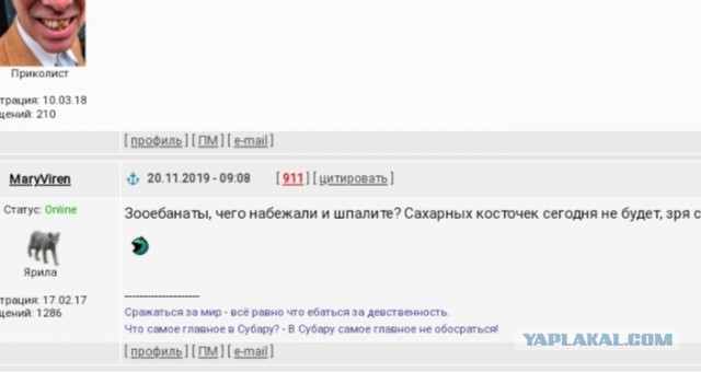 Звериный оскал зоозащиты