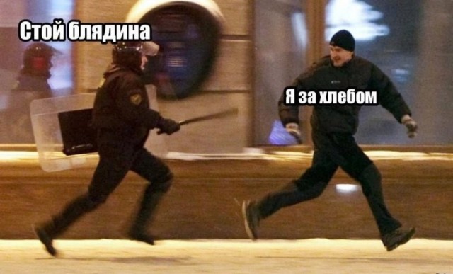 Тифоза