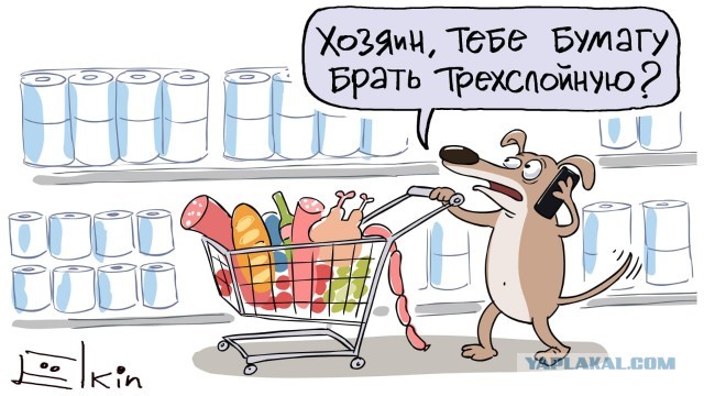 Немного картинок для настроения 31.03.20