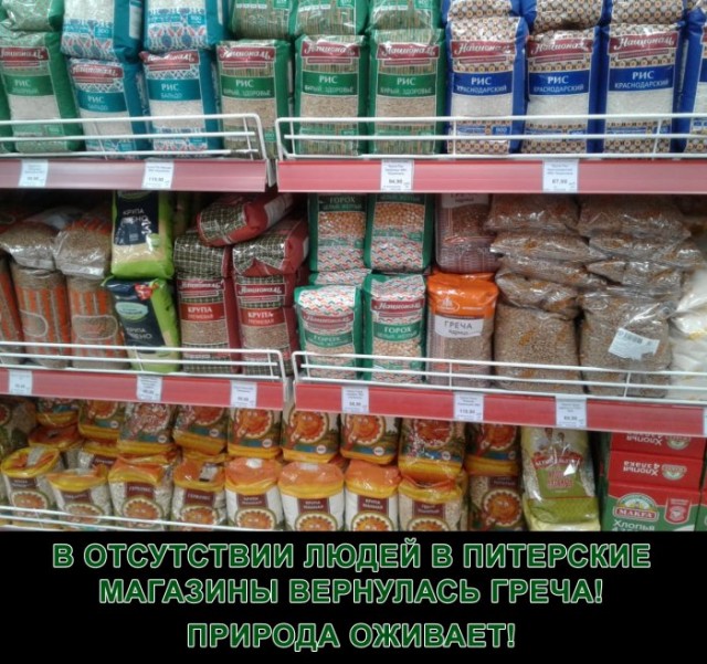 Немного картинок для настроения 01.04.20