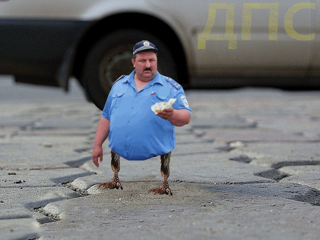 Воробьед идет на обед
