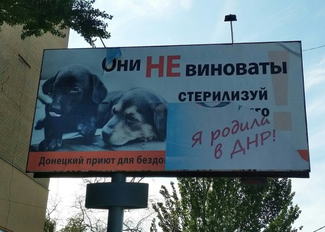 Картинки. Упоротые и не очень 21.01.2021