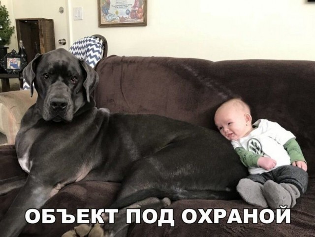 Так себе картинки 20.02.21