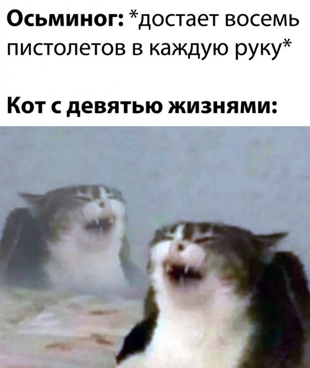 Весёлый полтишок 5.04