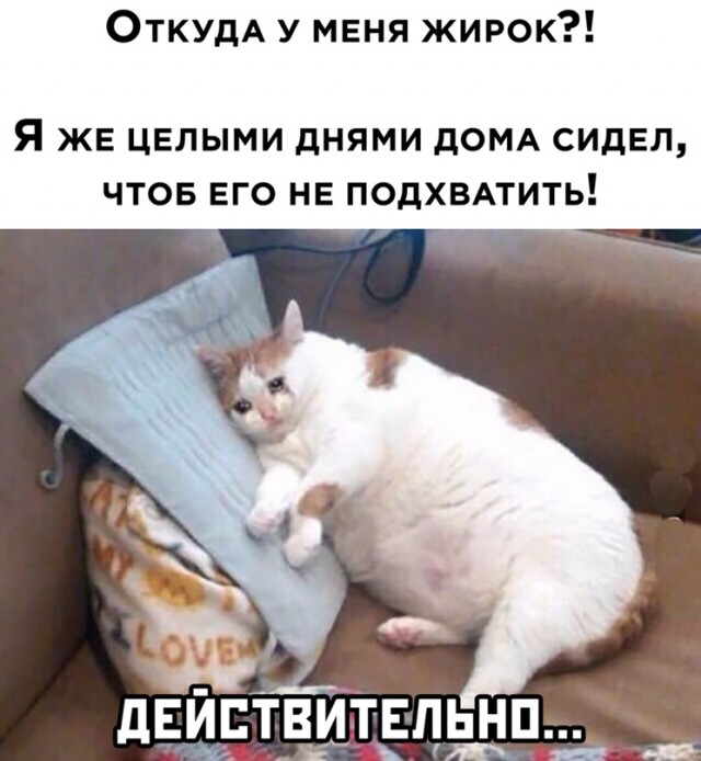 Весёлый полтишок 6.04