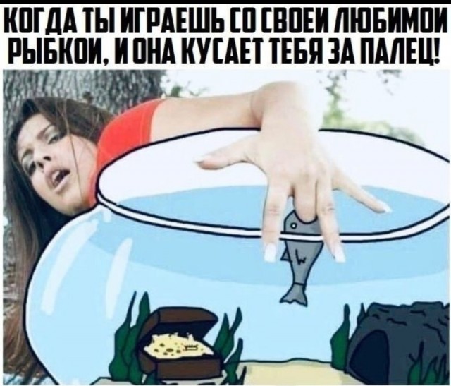 Аморальная деградация