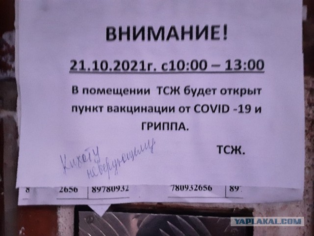 Пандемия. Коронавирус. Россия и мир. Последняя информация. Часть 25