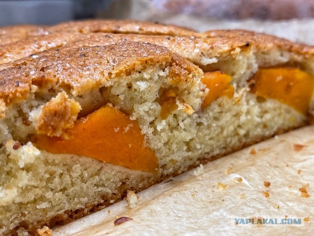 Быстро-вкусно: пирог на сметане с персиками