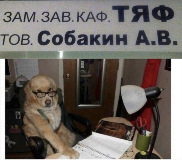 Так себе картинки 17.11.21