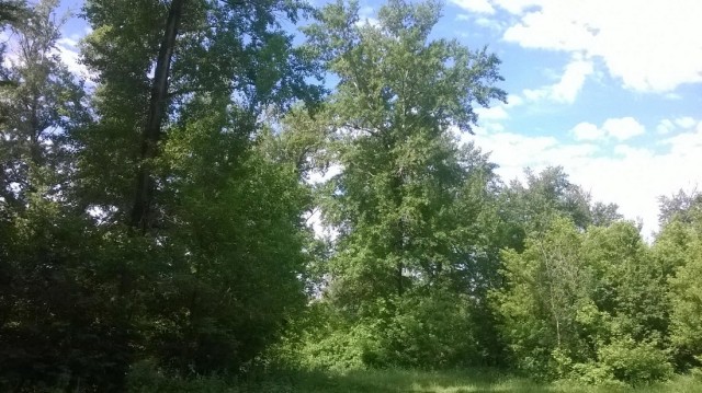 Декабрь на Южном Урале