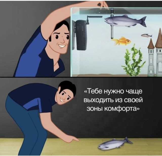 Баянисто-небаянистый юмор 6.12.21