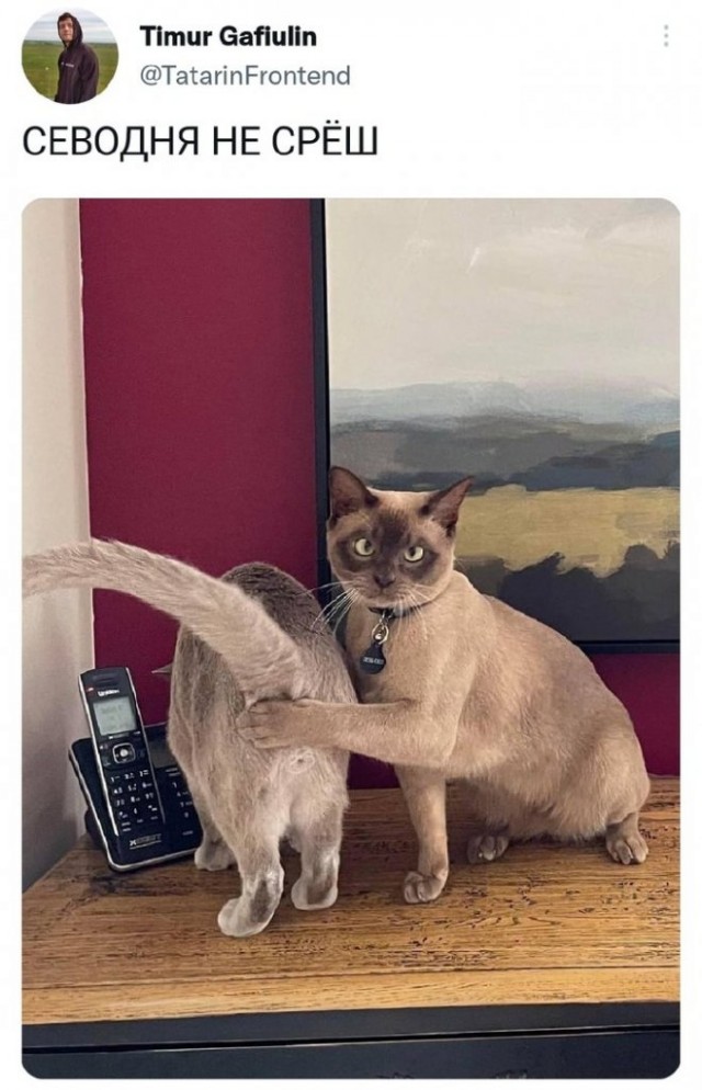 Картинки аморальные и всякие разные - 19