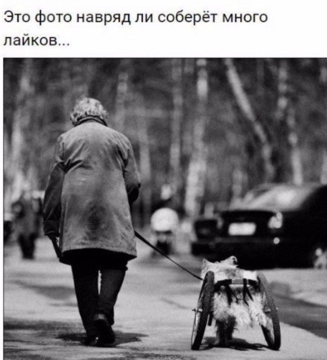Картинки разные 22.02.2022