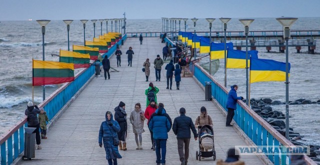 Литва арестовала квартиру ведущего «Первого канала» Артема Шейнина
