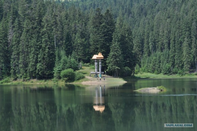 Карпаты 2011